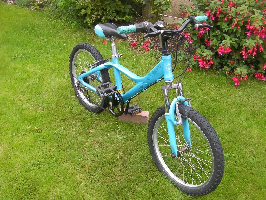 giant taffy 20 inch bike